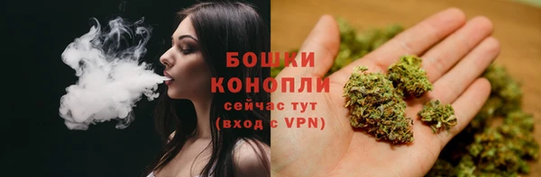 стафф Белокуриха