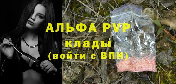 стаф Белоозёрский