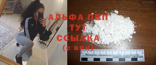 стафф Белокуриха
